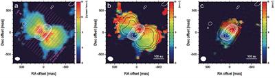 The Role of Magnetic Fields in Protostellar Outflows and Star Formation